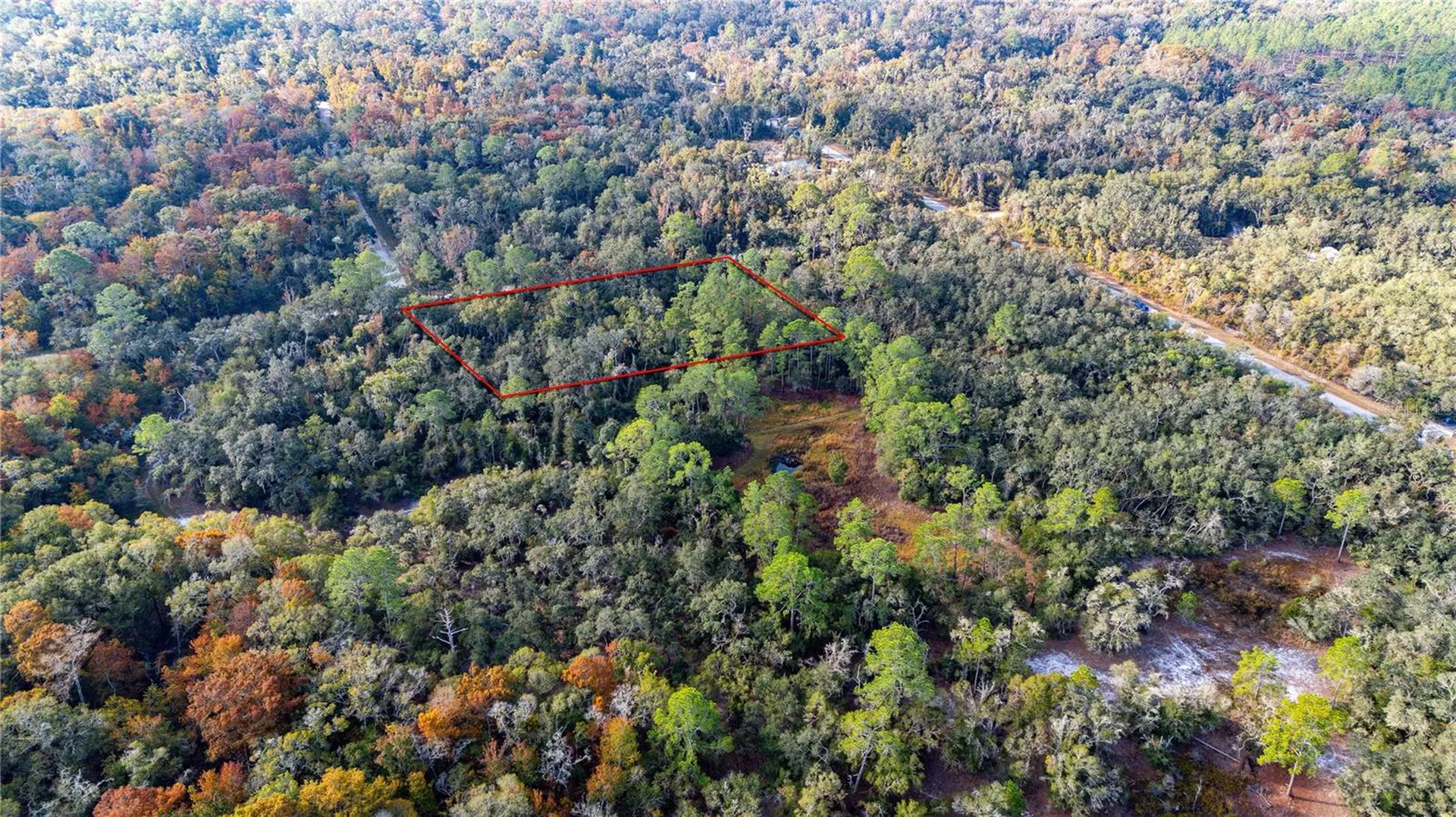 0 Rose Bloom Lot 5 Avenue Webster FL 33597