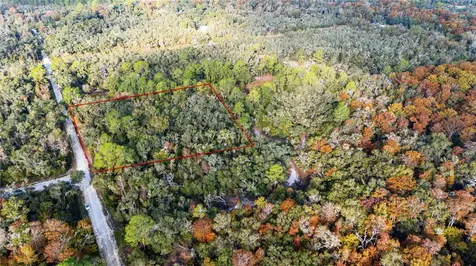 0 Rose Bloom Lot 5 Avenue Webster FL 33597
