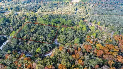 0 Rose Bloom Lot 5 Avenue Webster FL 33597