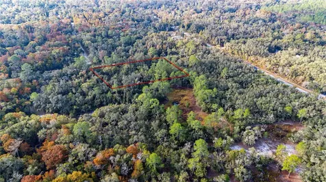 0 Rose Bloom Lot 5 Avenue Webster FL 33597