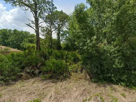 2235 Puffin Street Sebring FL 33870
