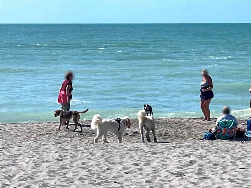 431 Villas Drive Venice FL 34285
