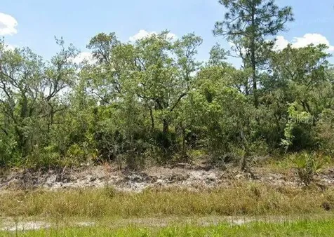 978 Archie Summers Road Lake Placid FL 33852