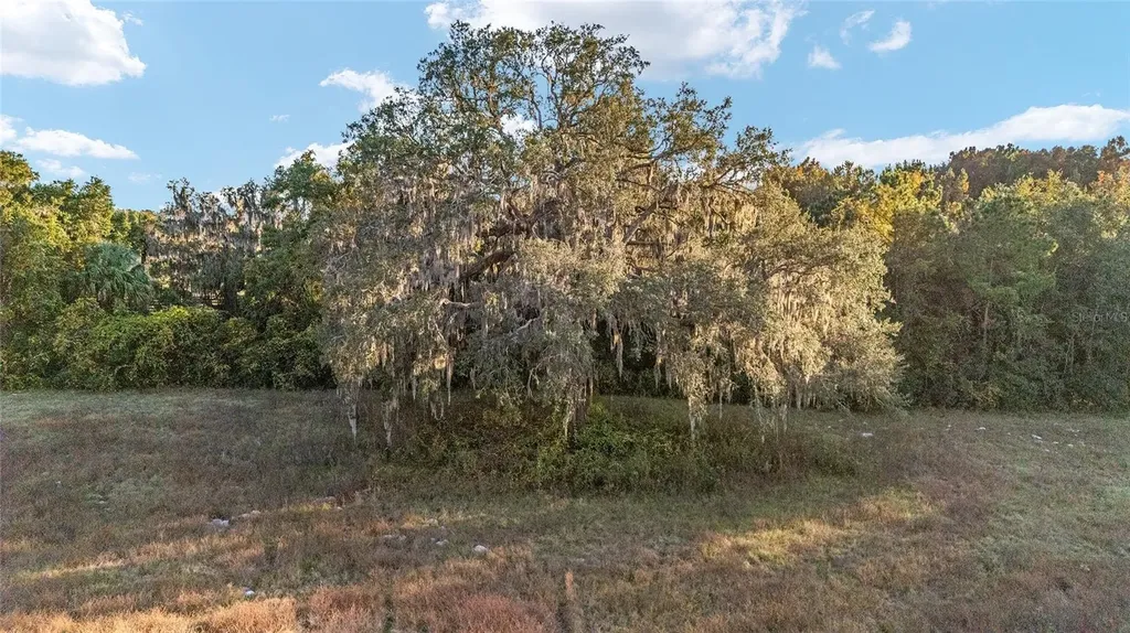 Tbd SE 22nd Avenue Road Ocala FL 34480