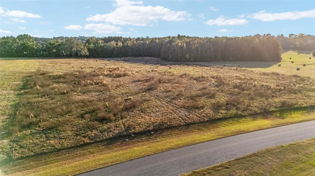 Tbd SE 22nd Avenue Road Ocala FL 34480