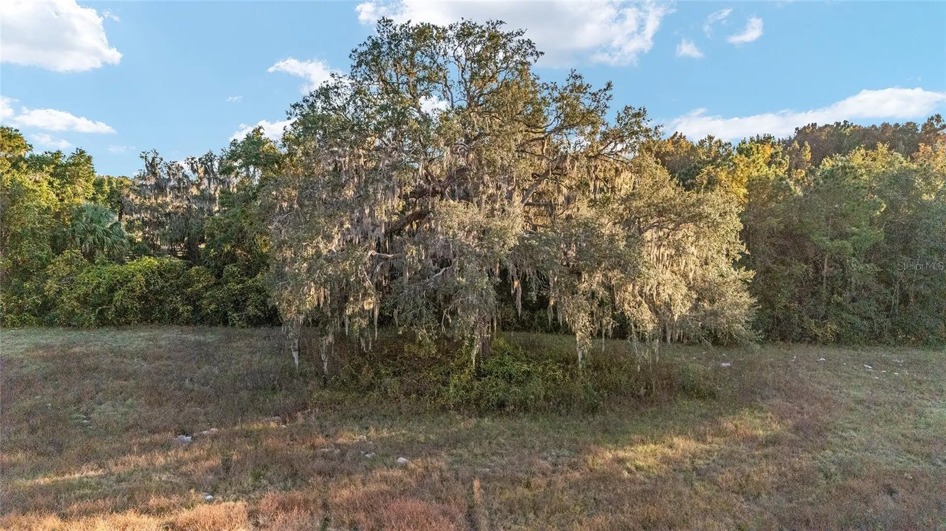 Tbd SE 22nd Avenue Road Ocala FL 34480