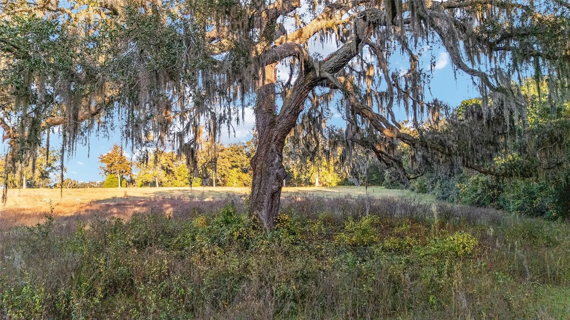 Tbd SE 22nd Avenue Road Ocala FL 34480