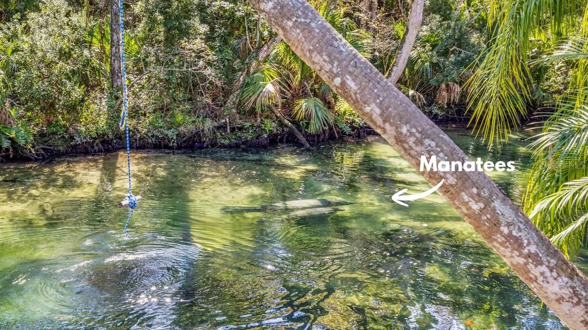 6110 Bear Trail Weeki Wachee FL 34607