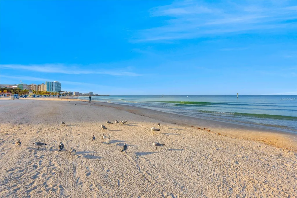 15 Somerset Street Clearwater Beach FL 33767