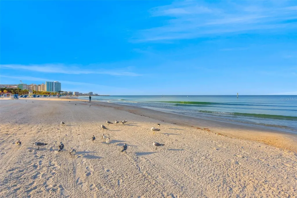 15 Somerset Street Clearwater Beach FL 33767