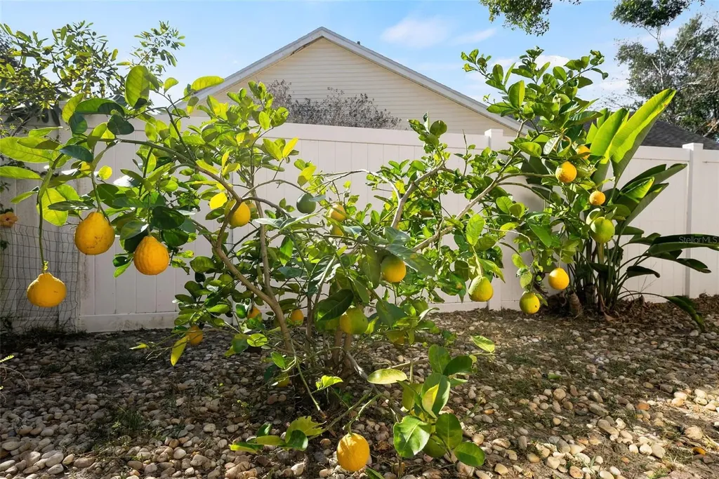 12030 Steppingstone Boulevard Tampa FL 33635