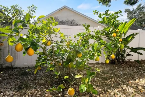 12030 Steppingstone Boulevard Tampa FL 33635
