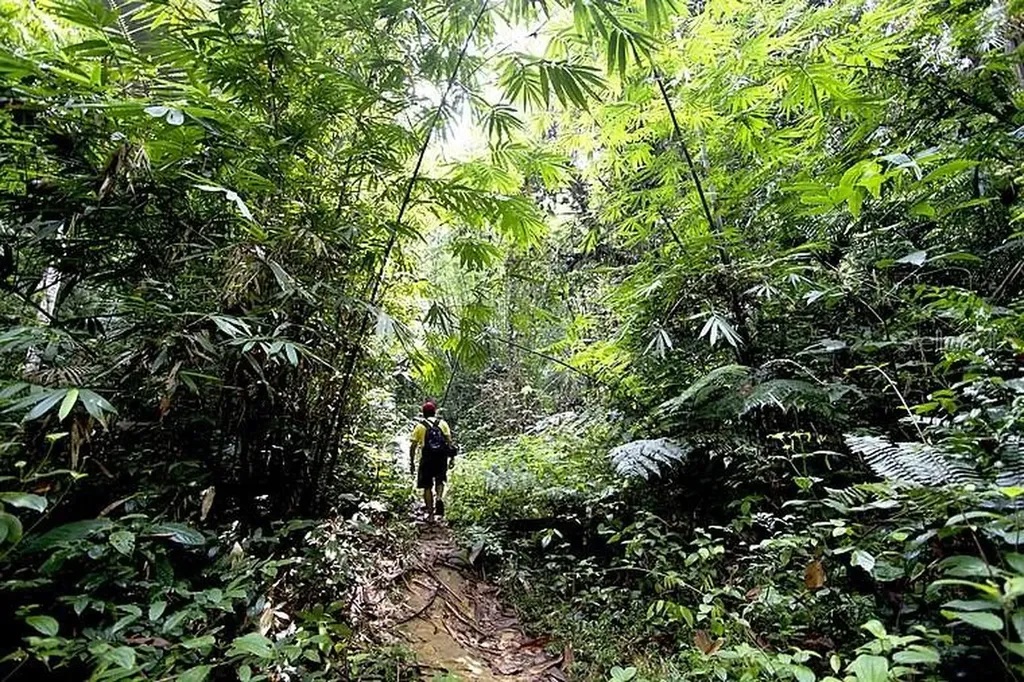 PR-446 Km 7.5 Isabela PR 00662