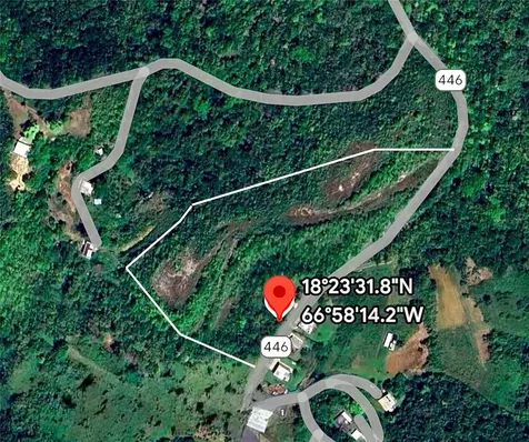 PR-446 Km 7.5 Isabela PR 00662