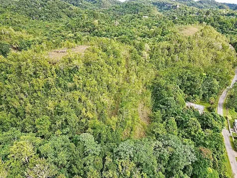 PR-446 Km 7.5 Isabela PR 00662