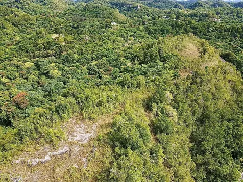 PR-446 Km 7.5 Isabela PR 00662