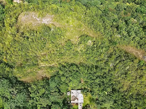 PR-446 Km 7.5 Isabela PR 00662