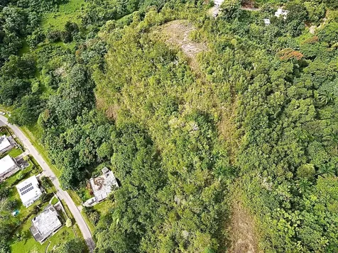 PR-446 Km 7.5 Isabela PR 00662
