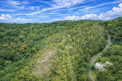 PR-446 Km 7.5 Isabela PR 00662