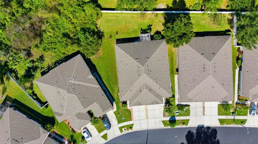 30907 Whitlock Drive Wesley Chapel FL 33543