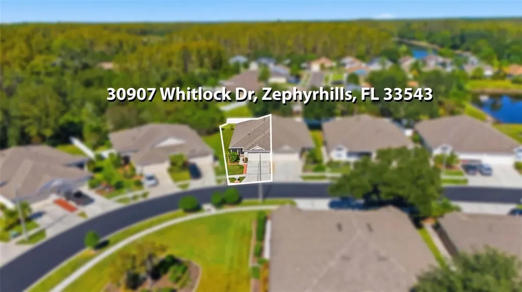 30907 Whitlock Drive Wesley Chapel FL 33543