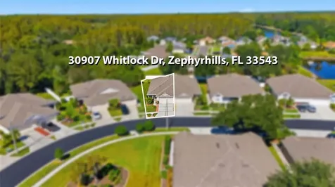30907 Whitlock Drive Wesley Chapel FL 33543