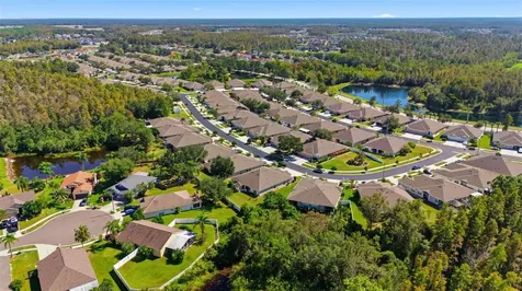 30907 Whitlock Drive Wesley Chapel FL 33543