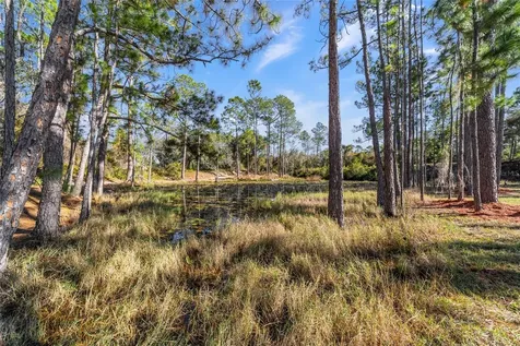 14181 SE 211th Court Umatilla FL 32784