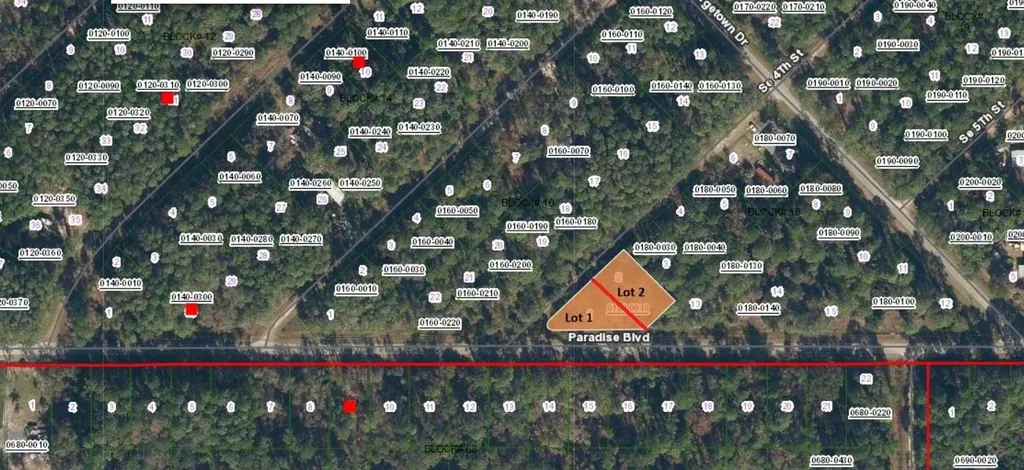 SE 4th Street Georgetown FL 32139