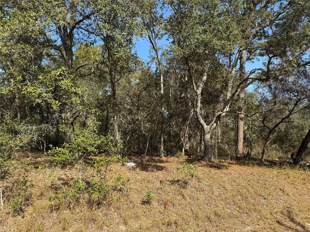 SE 115 Place Road Ocklawaha FL 32179