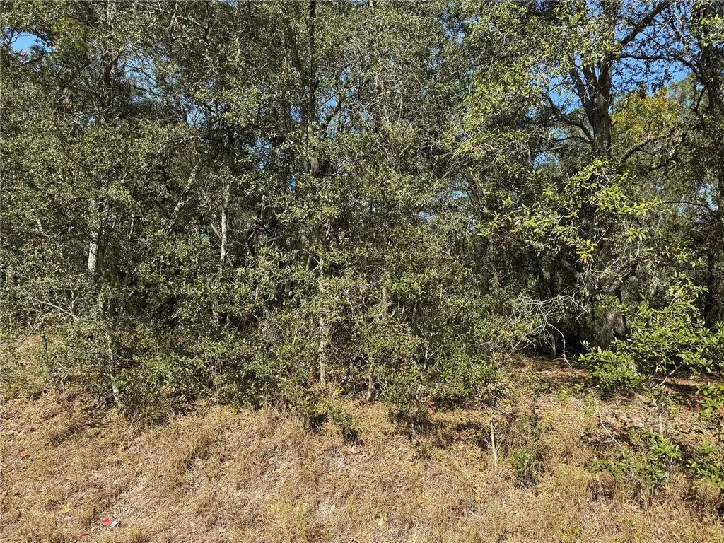 SE 115 Place Road Ocklawaha FL 32179