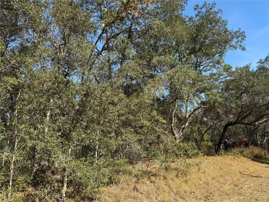 SE 115 Place Road Ocklawaha FL 32179