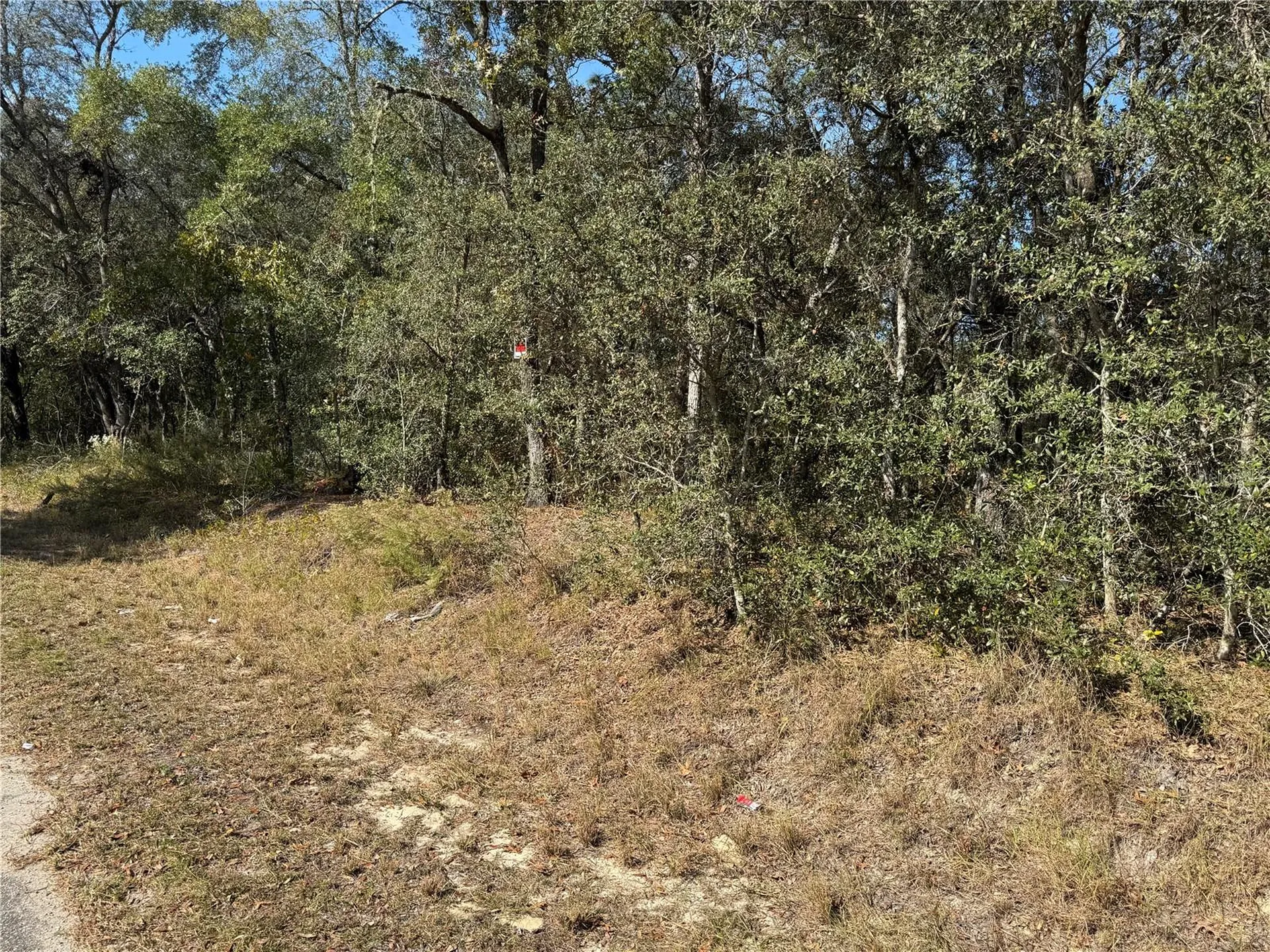 SE 115 Place Road Ocklawaha FL 32179
