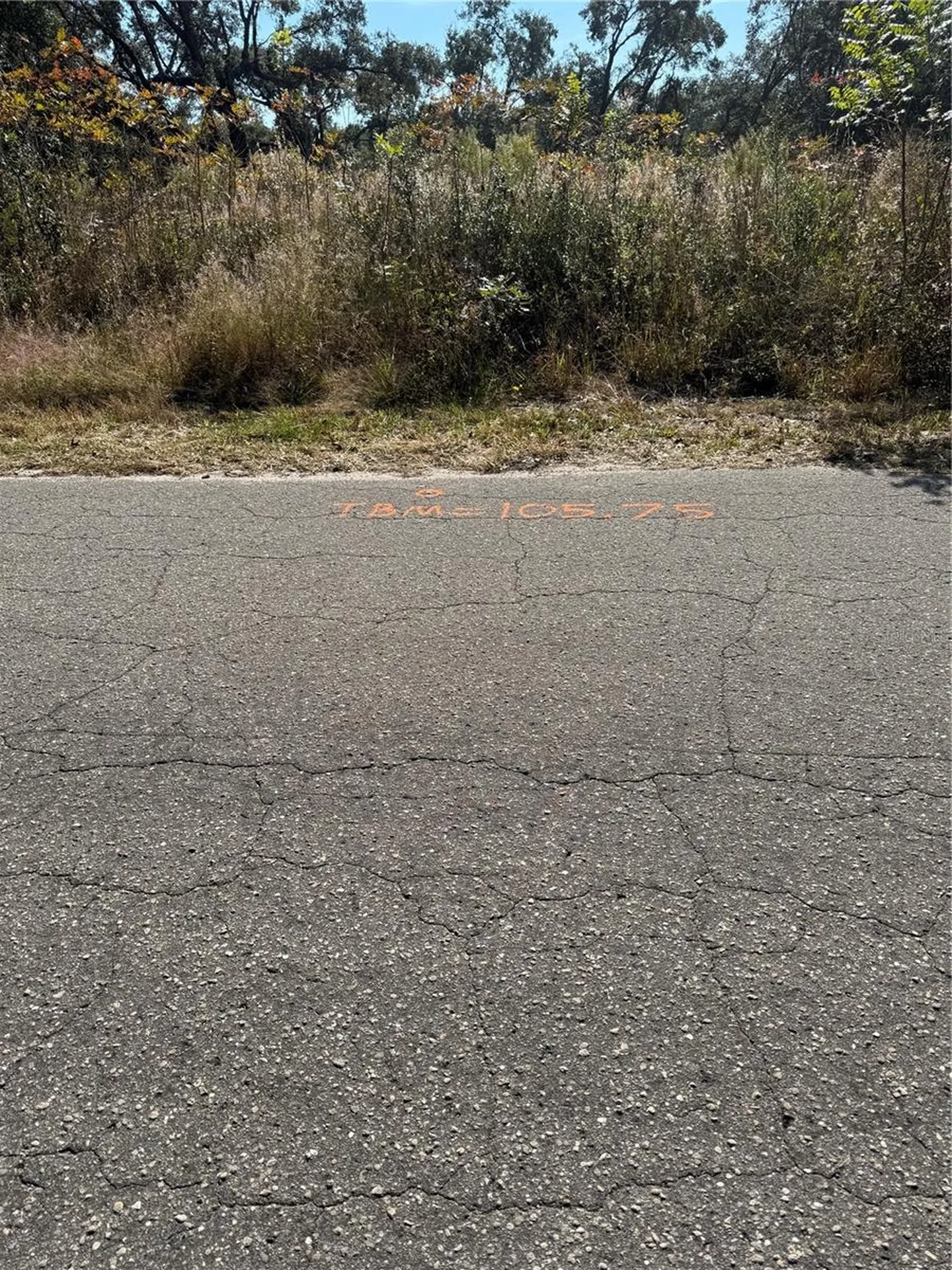SE 115 Place Road Ocklawaha FL 32179