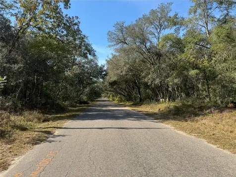 SE 115 Place Road Ocklawaha FL 32179