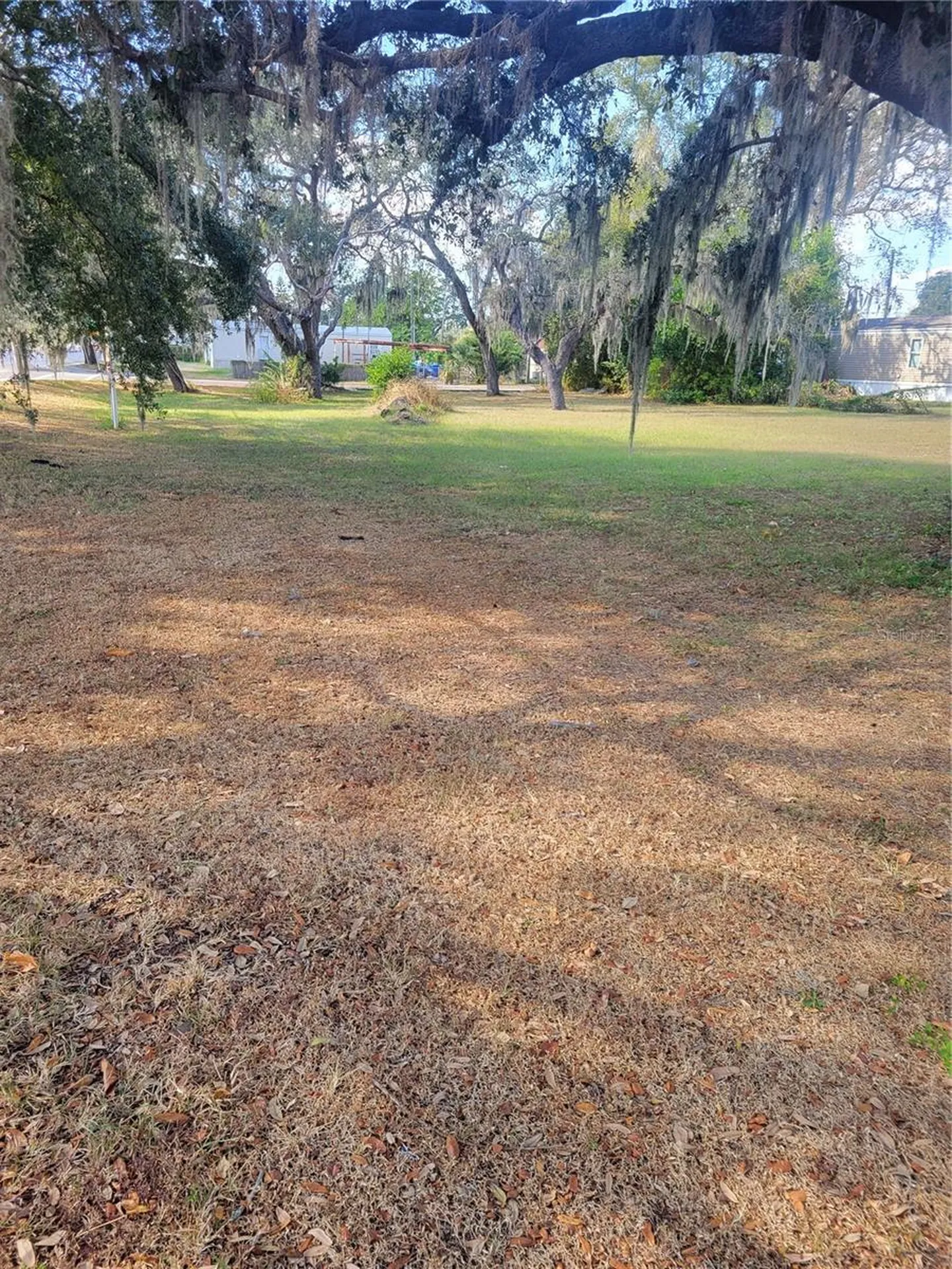 Bloomingdale Avenue Riverview FL 33578
