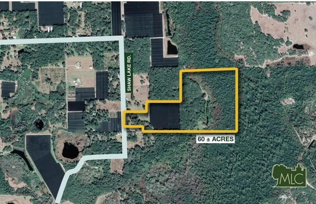 Shaw Lake Road Pierson FL 32180