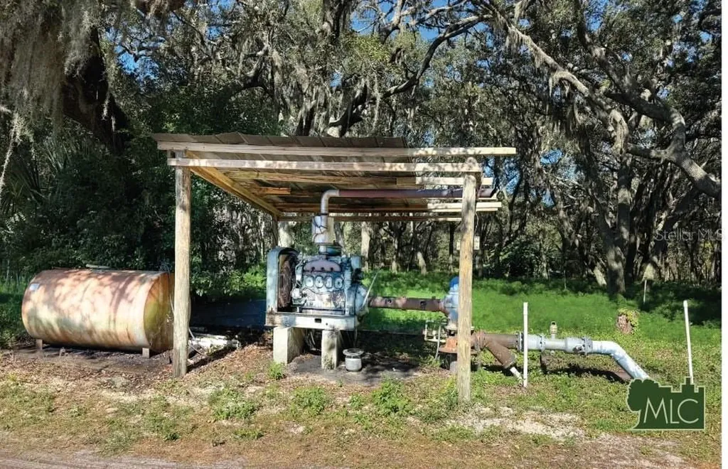 Shaw Lake Road Pierson FL 32180