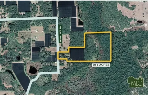 Shaw Lake Road Pierson FL 32180