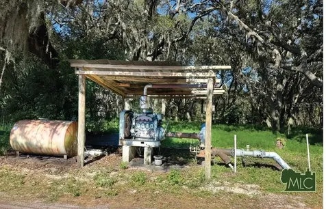 Shaw Lake Road Pierson FL 32180