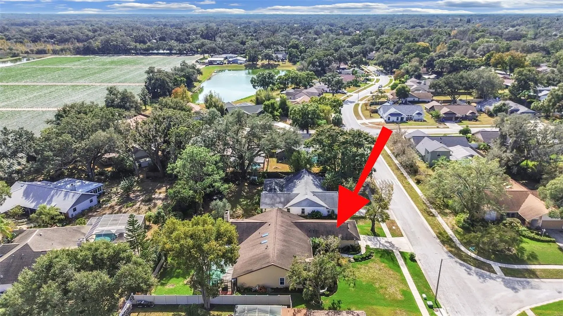 305 Running Horse Road Seffner FL 33584
