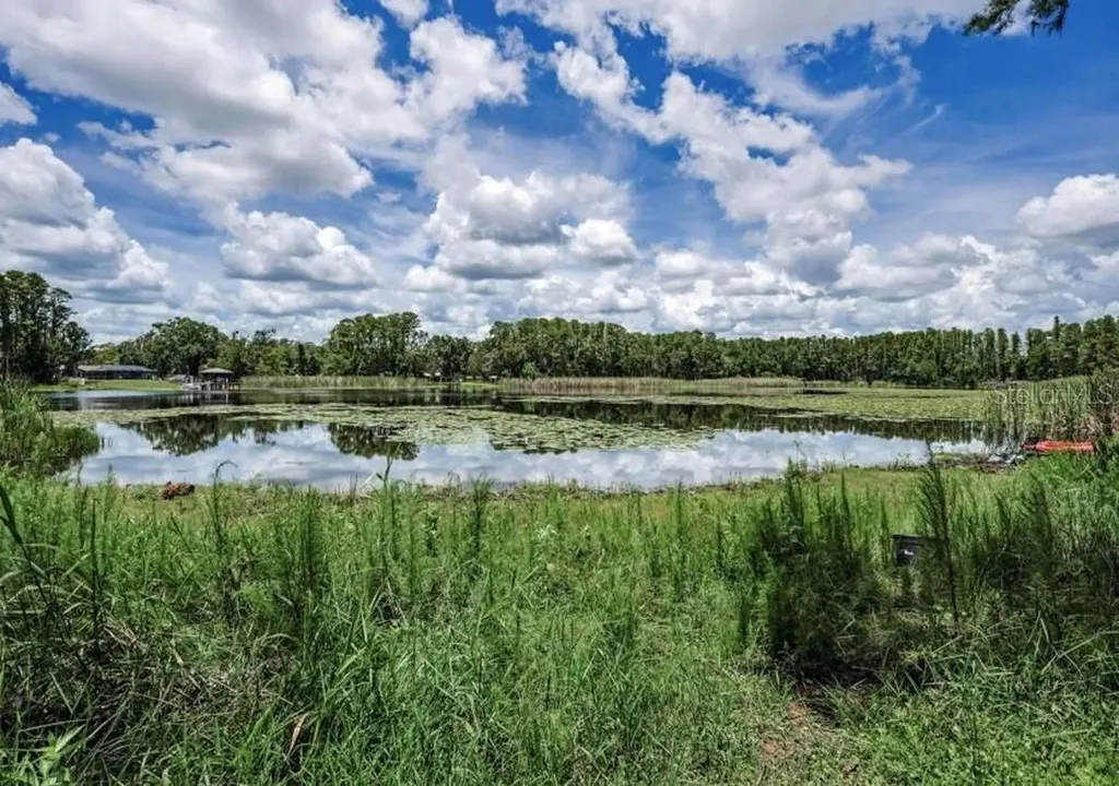 4635 Cobb Road Land O Lakes FL 34638