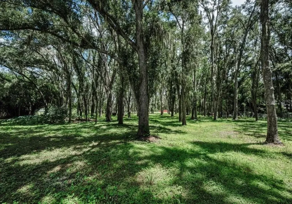 4635 Cobb Road Land O Lakes FL 34638