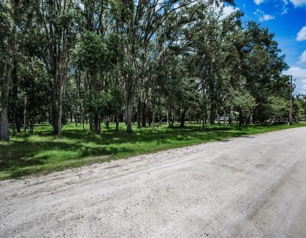 4635 Cobb Road Land O Lakes FL 34638