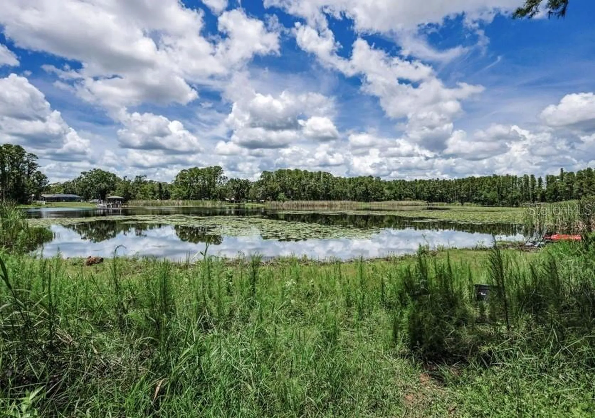 4635 Cobb Road Land O Lakes FL 34638