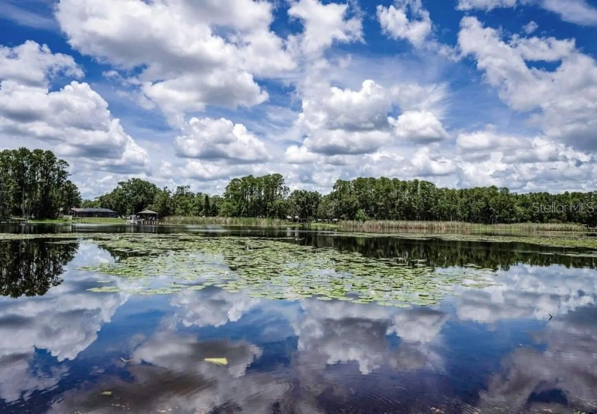4635 Cobb Road Land O Lakes FL 34638