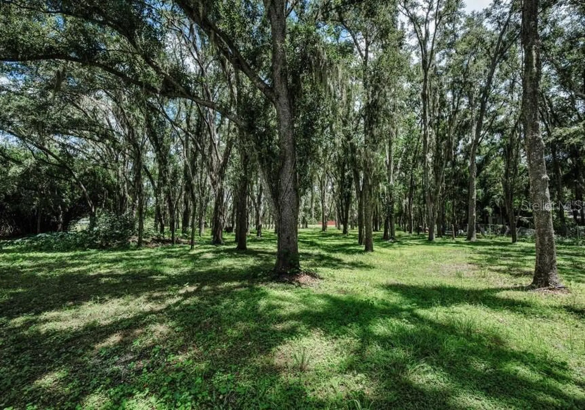 4635 Cobb Road Land O Lakes FL 34638