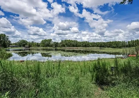 4635 Cobb Road Land O Lakes FL 34638