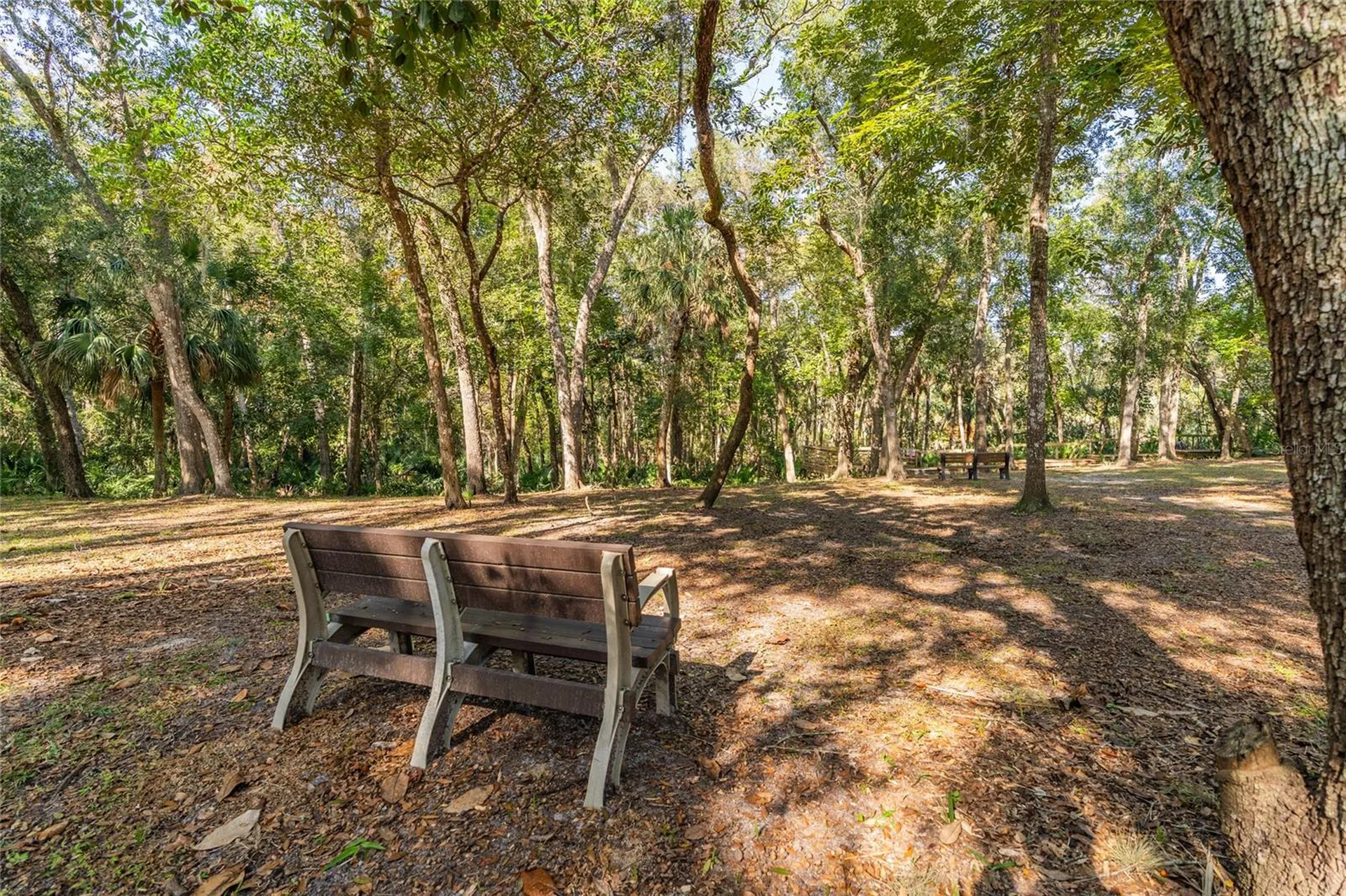 1985 Rutgers Place Port Orange FL 32128