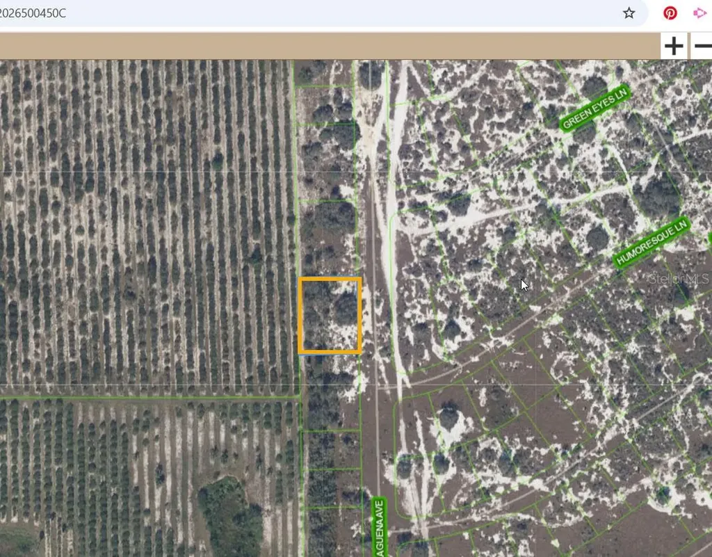 725 Malaguena Avenue Lake Placid FL 33852